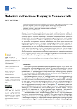 Mechanisms and Functions of Pexophagy in Mammalian Cells