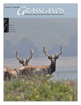 Vol. 23, No. 1 Winter 2013 from the President’S Keyboard Our Understanding of California Grasslands Is Growing by Jim Hanson, President