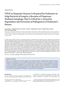 VPS35 in Dopamine Neurons Is Required for Endosome-To- Golgi Retrieval of Lamp2a, a Receptor of Chaperone- Mediated Autophagy Th