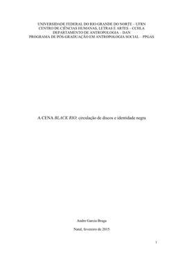 A Cena Black Rio: Circulação De Discos E Identidade Negra / Andre Garcia Braga