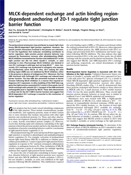 Dependent Anchoring of ZO-1 Regulate Tight Junction Barrier Function