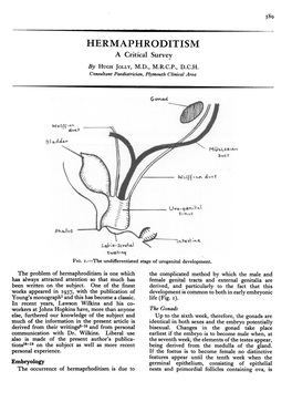 Postmedj00529-0038.Pdf