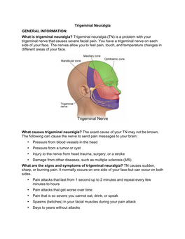 What Is Trigeminal Neuralgia? Trigeminal Neuralgia (TN) Is a Problem with Your Trigeminal Nerve That Causes Severe Facial Pain