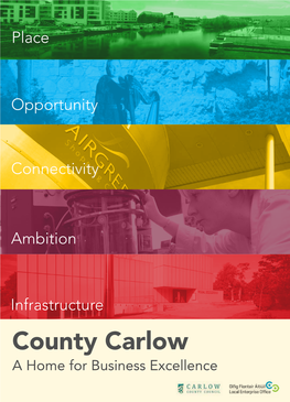 County Carlow a Home for Business Excellence