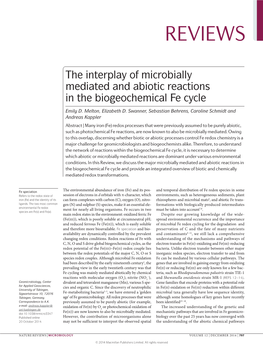 The Interplay of Microbially Mediated and Abiotic Reactions in the Biogeochemical Fe Cycle