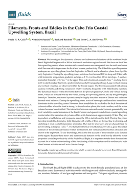 Filaments, Fronts and Eddies in the Cabo Frio Coastal Upwelling System, Brazil