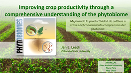 Improving Crop Productivity Through a Comprehensive Understanding Of