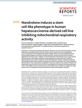 Nandrolone Induces a Stem Cell-Like Phenotype in Human