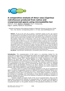 Cyprinus Rubrofuscus) Produced from Native and Cryopreserved Sperm Using Microsatellite Loci Uliana S