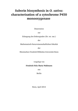 Suberin Biosynthesis in O. Sativa: Characterisation of a Cytochrome P450 Monooxygenase