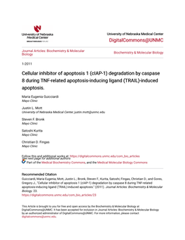 (Ciap-1) Degradation by Caspase 8 During TNF-Related Apoptosis-Inducing Ligand (TRAIL)-Induced Apoptosis