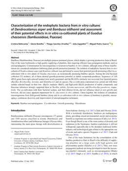 Characterization of the Endophytic Bacteria from in Vitro Cultures Of