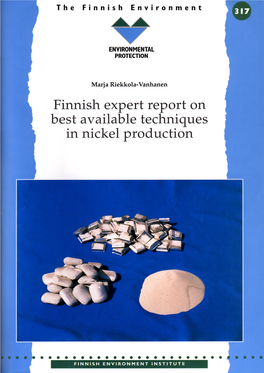 The Finnish Environment 317