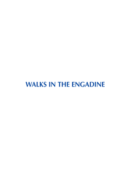 Walks in the Engadine