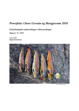 Prøvefiske I Store Urevatn Og Skargjesvatn 2018