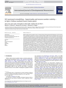 SCG Postnatal Remodelling – Hypertrophy and Neuron Number Stability –