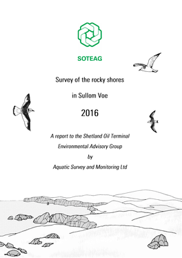 SOTEAG Rocky Shore Survey 2016