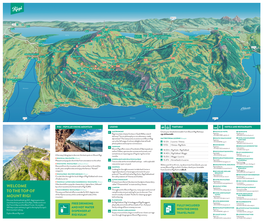 Welcome to the Top of Mount Rigi