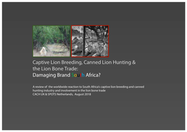 Captive Lion Breeding, Canned Lion Hunting & the Lion Bone Trade