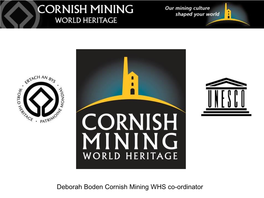Cornish Mining WHS Co-Ordinator Objectives