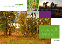 Annual Report 2020-21 2 Anchor Bottom Chalk Grassland (C) Victoria Hume Sussex Wildlife Trust