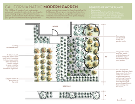 CALIFORNIA NATIVE MODERN GARDEN BENEFITS of NATIVE PLANTS This 1000 Sq