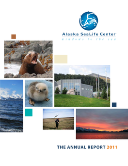 The Annual Report 2011 Letter from the Board Chair