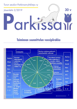 30 V Toiminnan Suunnittelun Vuosipiirakka