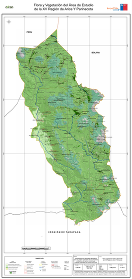 Flora Y Vegetación Del Área De Estudio De La XV Región De Arica Y Parinacota