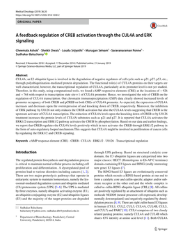 A Feedback Regulation of CREB Activation Through the CUL4A and ERK Signaling
