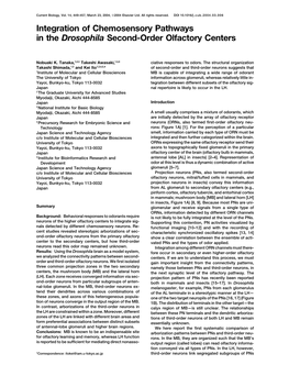 Integration of Chemosensory Pathways in the Drosophila Second-Order Olfactory Centers