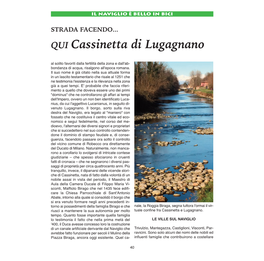 QUI Cassinetta Di Lugagnano Al Solito Favoriti Dalla Fertilità Della Zona E Dall'ab- Bondanza Di Acqua, Risalgono All'epoca Romana