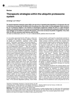 Therapeutic Strategies Within the Ubiquitin Proteasome System