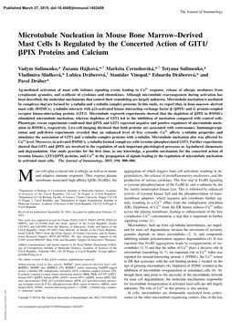 And Calcium PIX Proteins Β the Concerted Action of GIT1/ Derived Mast Cells Is Regulated by − Marrow Microtubule Nucleation I