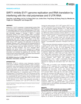 SIRT1 Inhibits EV71 Genome Replication and RNA Translation By