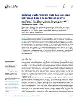 Building Customizable Auto-Luminescent Luciferase-Based Reporters in Plants