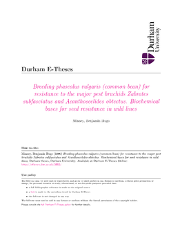 Breeding Phaseolus Vulgaris (Common Bean) for Resistance to the Major Pest Bruchids Zabrotes Subfasciatus and Acanthoscelides Obtectus