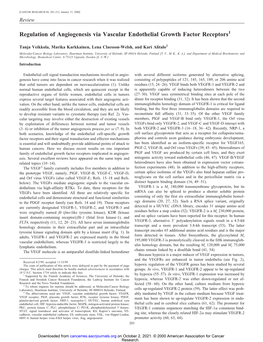 Regulation of Angiogenesis Via Vascular Endothelial Growth Factor Receptors1