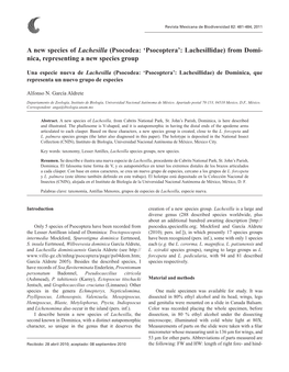 A New Species of Lachesilla (Psocodea: 'Psocoptera