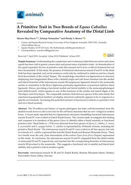 A Primitive Trait in Two Breeds of Equus Caballus Revealed by Comparative Anatomy of the Distal Limb