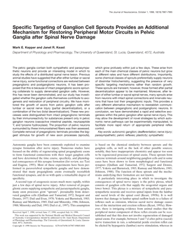 Specific Targeting of Ganglion Cell Sprouts Provides an Additional