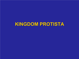 Kingdom Protista Protista