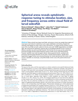 Spherical Arena Reveals Optokinetic Response Tuning to Stimulus Location