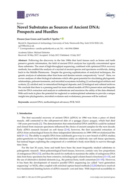 Novel Substrates As Sources of Ancient DNA: Prospects and Hurdles