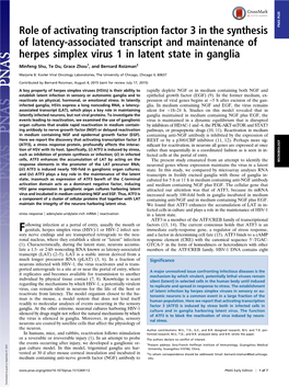 Role of Activating Transcription Factor 3 in the Synthesis of Latency