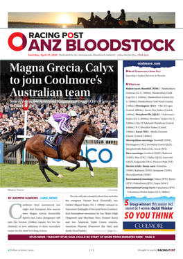 Magna Grecia, Calyx to Join Coolmore's Australian Team