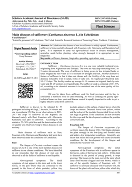 Diseases of Safflower