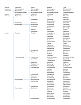 Moth Taxa Families.Pdf