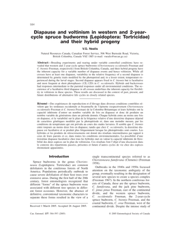 Cycle Spruce Budworms (Lepidoptera: Tortricidae) and Their Hybrid Progeny