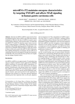 Microrna-372 Maintains Oncogene Characteristics by Targeting TNFAIP1 and Affects Nfκb Signaling in Human Gastric Carcinoma Cells